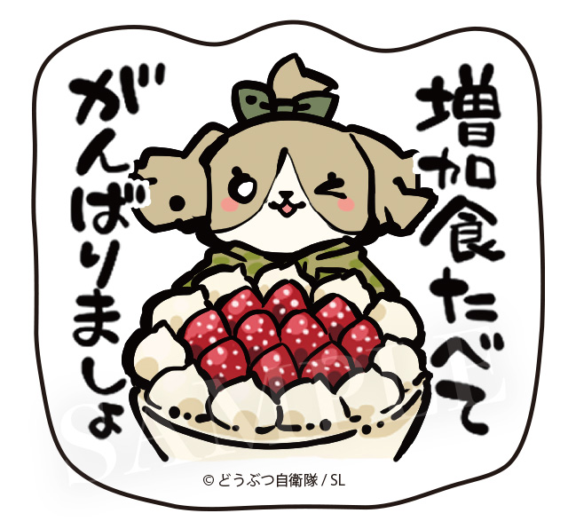 増加食はいかが？